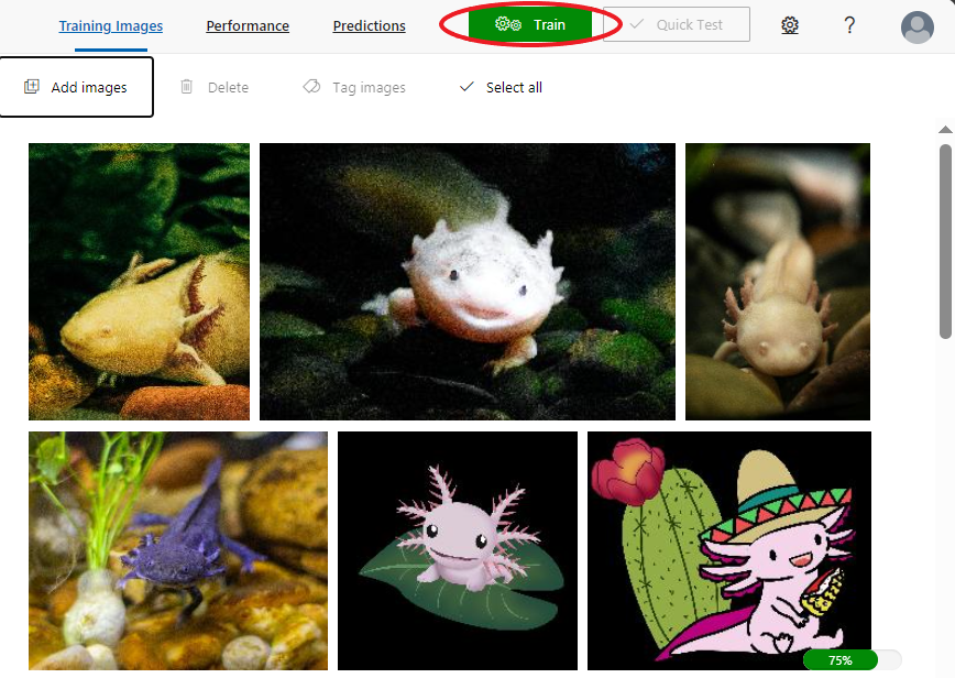 Axolotl ou ornithorynque ? Création d'un projet de classification d'images à l'aide des services Azure AI
